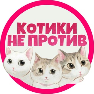 Логотип Телеграм канала kotyeka. Бесплатная аналитика Telegram каналов