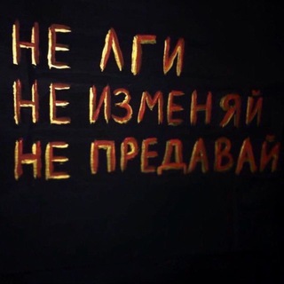 Логотип Телеграм канала . Бесплатная аналитика Telegram каналов