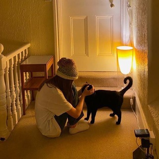 Telegram Channel logo inmypantry. Free Telegram Channel Analytics