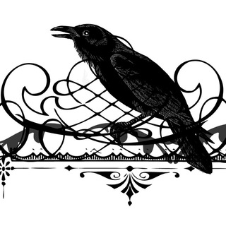 Логотип Телеграм канала . Бесплатная аналитика Telegram каналов