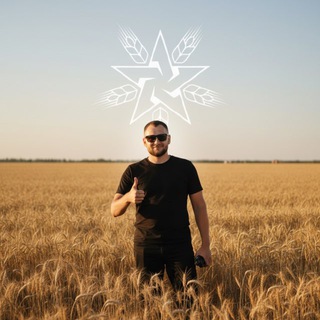 Логотип Телеграм канала . Бесплатная аналитика Telegram каналов