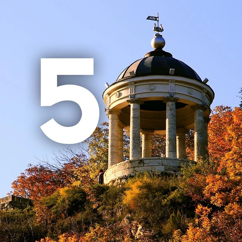 Логотип Телеграм канала ptg_info. Бесплатная аналитика Telegram каналов