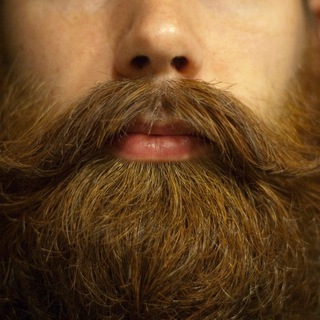 Логотип Телеграм канала anekboroda. Бесплатная аналитика Telegram каналов