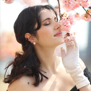 Логотип Телеграм канала . Бесплатная аналитика Telegram каналов