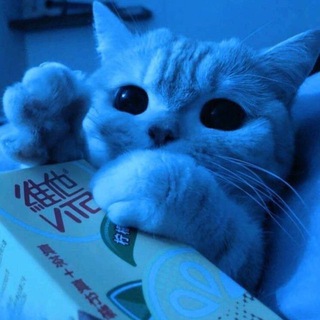 Логотип Телеграм канала chvizi. Бесплатная аналитика Telegram каналов