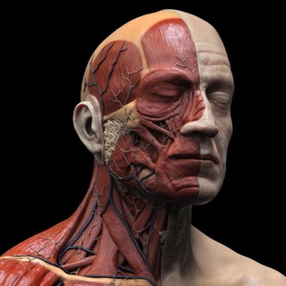 Telegram Channel logo . Free Telegram Channel Analytics