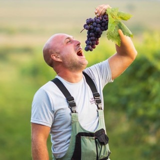 Логотип Телеграм канала Камский Виноградник Татарстан. Бесплатная аналитика Telegram каналов