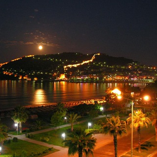 Telegram Channel logo chatalanya_turkey. Free Telegram Channel Analytics