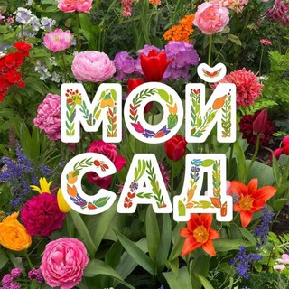 Логотип Телеграм канала +brKKWtI0rm03MmQ6. Бесплатная аналитика Telegram каналов