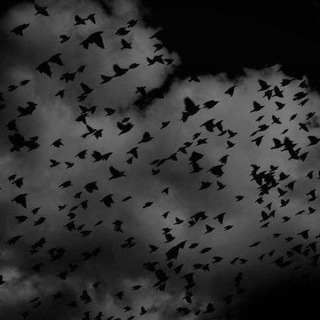 Логотип Телеграм канала сан سгаттам. Бесплатная аналитика Telegram каналов