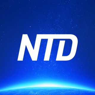 Telegram Channel logo NTD. Free Telegram Channel Analytics