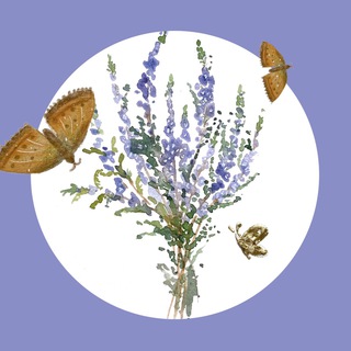 Telegram Channel logo vereskart. Free Telegram Channel Analytics