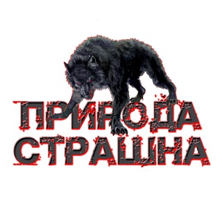 Логотип Телеграм канала . Бесплатная аналитика Telegram каналов