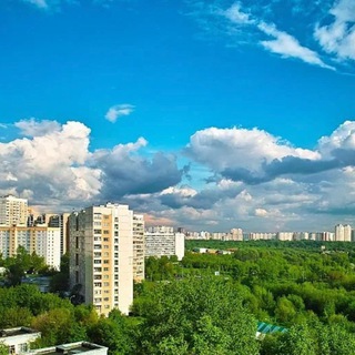 Telegram Channel logo ChatMedvedkovo. Free Telegram Channel Analytics