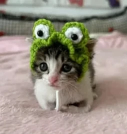 Telegram Channel logo wildberriesnahodkj. Free Telegram Channel Analytics