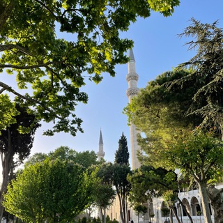 Логотип Телеграм канала TürkiyeLook 🇹🇷. Бесплатная аналитика Telegram каналов