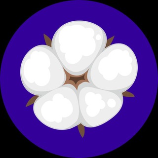 Логотип Телеграм канала . Бесплатная аналитика Telegram каналов