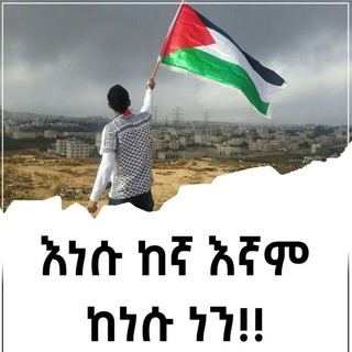 Telegram Channel logo salihibnzeynofficial. Free Telegram Channel Analytics