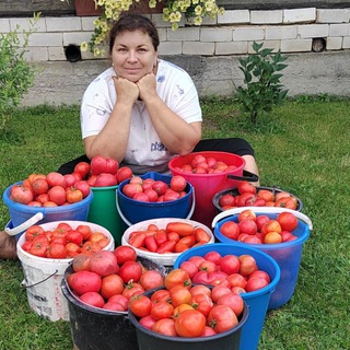 Telegram Channel logo celo_i_yulya. Free Telegram Channel Analytics