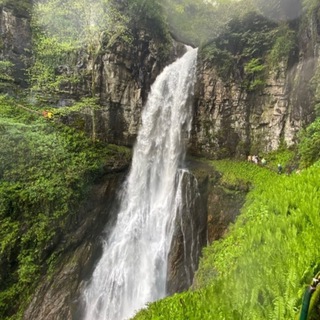 Логотип Телеграм канала pohodsochiabh. Бесплатная аналитика Telegram каналов