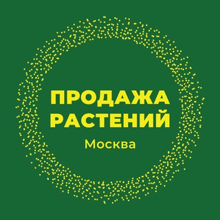 Telegram Channel logo moscow_cvetochki. Free Telegram Channel Analytics