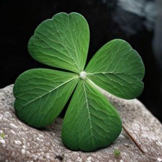 Telegram Channel logo oboykikartinki. Free Telegram Channel Analytics