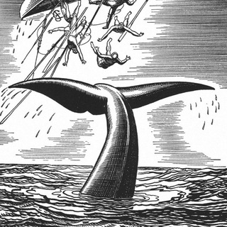 Логотип Телеграм канала Рыба Лоцман. Бесплатная аналитика Telegram каналов