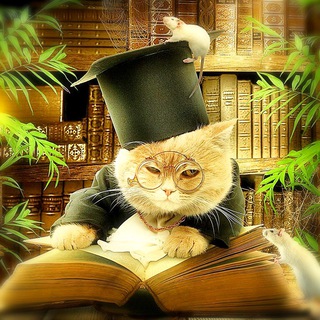 Логотип Телеграм канала knigamodelizm. Бесплатная аналитика Telegram каналов