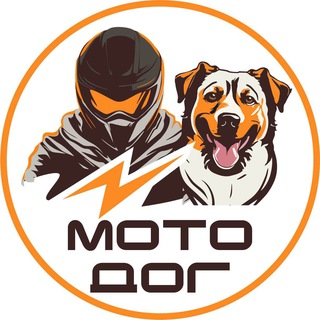 Telegram Channel logo moto_dog. Free Telegram Channel Analytics