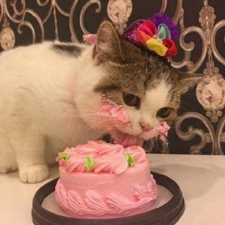 Логотип Телеграм канала dessert_tg. Бесплатная аналитика Telegram каналов