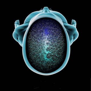 Логотип Телеграм канала radiologyass. Бесплатная аналитика Telegram каналов