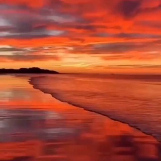 Telegram Channel logo udivitelnokrasivo. Free Telegram Channel Analytics