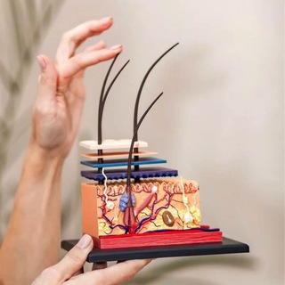 Telegram Channel logo kosmetologliteratura. Free Telegram Channel Analytics