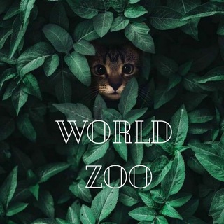 Telegram Channel logo World ZOO 🐿. Free Telegram Channel Analytics