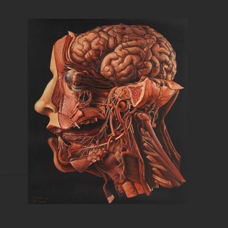 Telegram Channel logo +SJ_QQ56oas0QeA_W. Free Telegram Channel Analytics