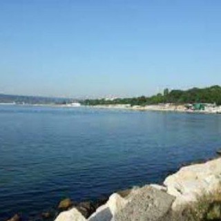 Telegram Channel logo rus_bulgaria_rus_varna. Free Telegram Channel Analytics