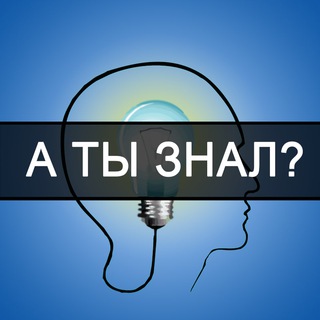 Логотип Телеграм канала . Бесплатная аналитика Telegram каналов