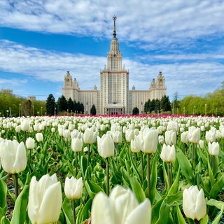 Логотип Телеграм канала . Бесплатная аналитика Telegram каналов