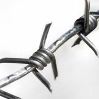 Логотип Телеграм канала 🇺🇦☮️🇷🇺 MR. FREEMAN ☿. Бесплатная аналитика Telegram каналов