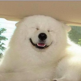 Логотип Телеграм канала Работа в Казани. Бесплатная аналитика Telegram каналов