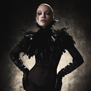 Telegram Channel logo margielovna. Free Telegram Channel Analytics