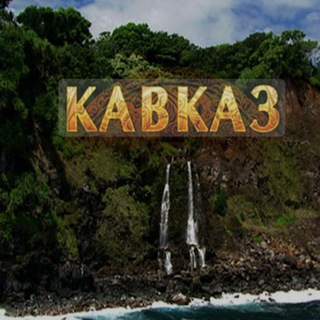 Telegram Channel logo kmv_kavkaz01. Free Telegram Channel Analytics