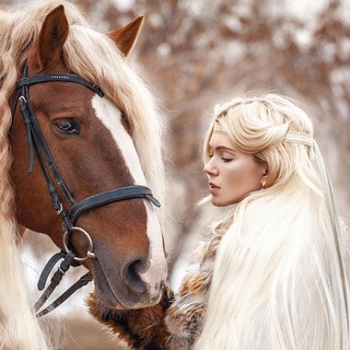 Логотип Телеграм канала . Бесплатная аналитика Telegram каналов