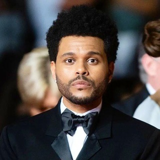 Telegram Channel logo xotalk. Free Telegram Channel Analytics