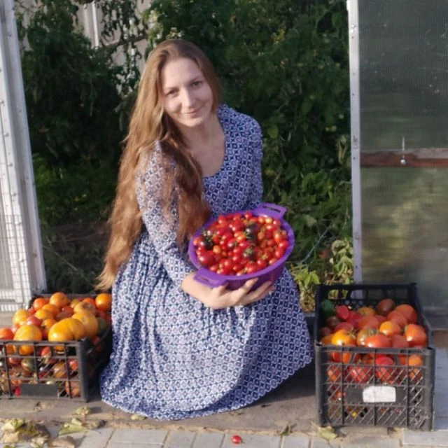 Telegram Channel logo ch_60a62c32e184214713fa6055. Free Telegram Channel Analytics