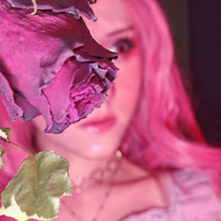 Логотип Телеграм канала . Бесплатная аналитика Telegram каналов