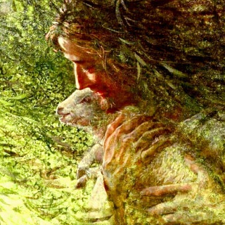 Логотип Телеграм канала bereyerko. Бесплатная аналитика Telegram каналов