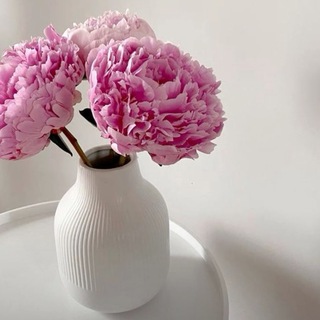 Telegram Channel logo wbvdom. Free Telegram Channel Analytics