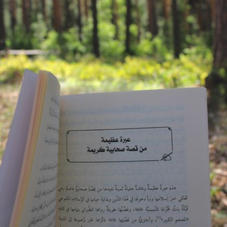 Логотип Телеграм канала . Бесплатная аналитика Telegram каналов