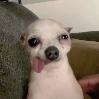 Telegram Channel logo cigoenn. Free Telegram Channel Analytics